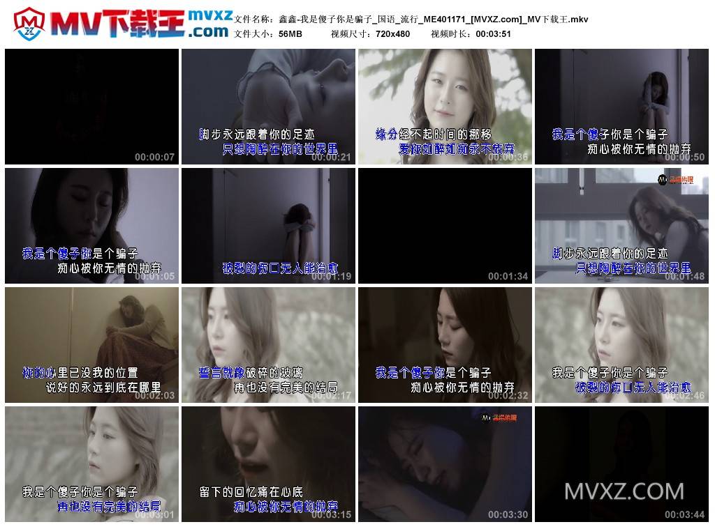 鑫鑫-我是傻子你是骗子_国语_流行_ME401171